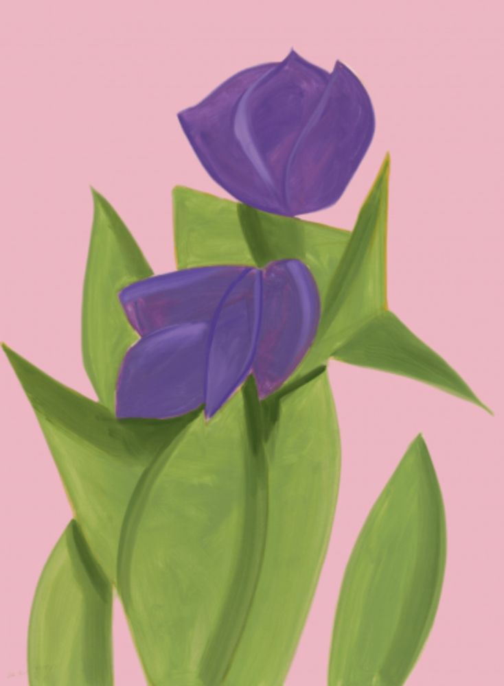 多数の Katz - Purple Tulips 2