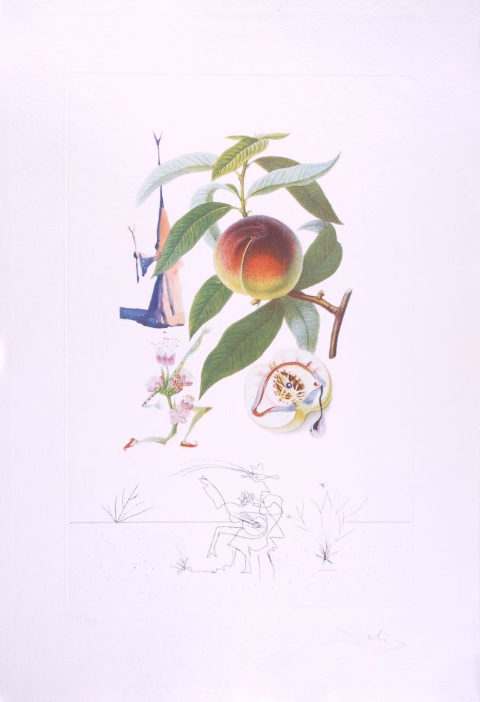 ポイントーセッシュ Dali - Pécheur pénitent - Peach (Suite Flordali Les Fruits)