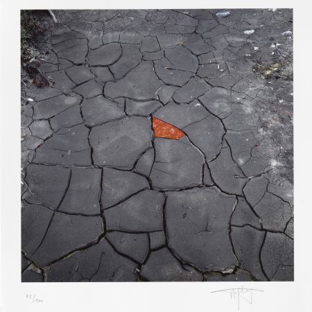 デジタル版画 Goldsworthy - Red Leaves on Cracked earth