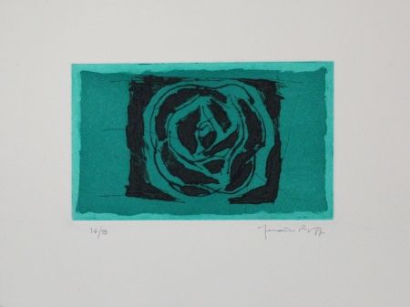 エッチングと　アクチアント Hernandez Pijuan - Rosa verda / Green Rose