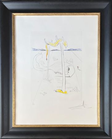 ポイントーセッシュ Dali - Salvador Dalí (1904-1989) - Color drypoint etching on Arches paper - 1973