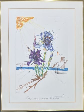 ポイントーセッシュ Dali - Salvador Dalí (1904–1989) - Coloured drypoint etching on heliogravures - 1972