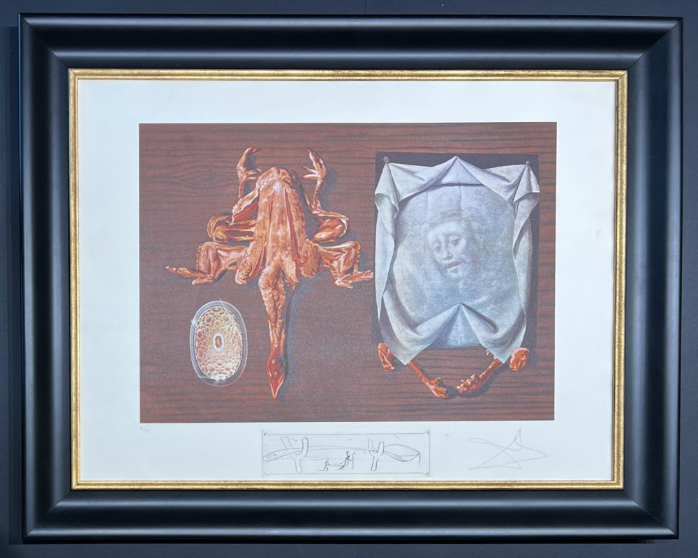リトグラフ Dali - Salvador Dalí (1904–1989) - Coloured lithograph on BFK Rives paper - 1971