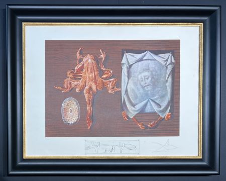 リトグラフ Dali - Salvador Dalí (1904–1989) - Coloured lithograph on BFK Rives paper - 1971