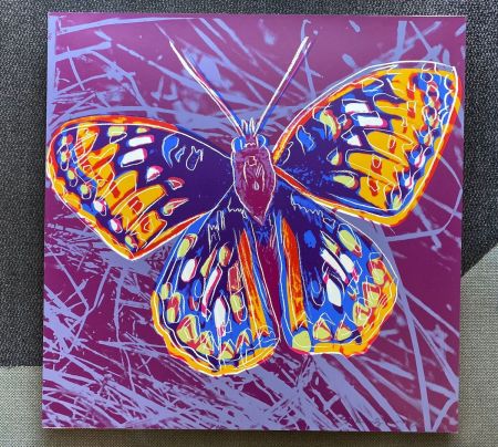 シルクスクリーン Warhol - San Francisco Silverspot (FS II.298)