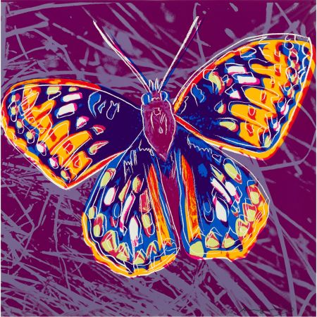 シルクスクリーン Warhol - San Francisco Silverspot (FS II.298)