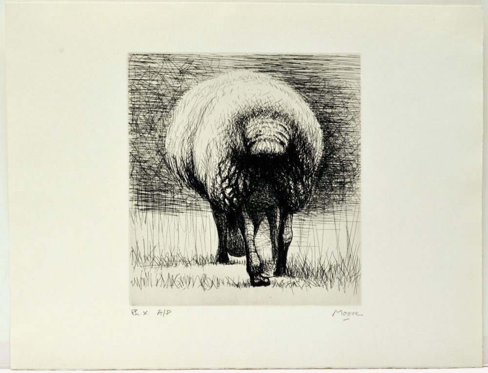 エッチング Moore - Sheep back view
