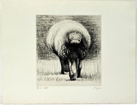エッチング Moore - Sheep back view