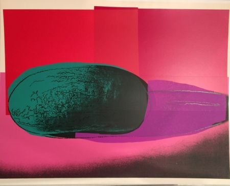 シルクスクリーン Warhol - Space Fruit: Watermelon FS II.199