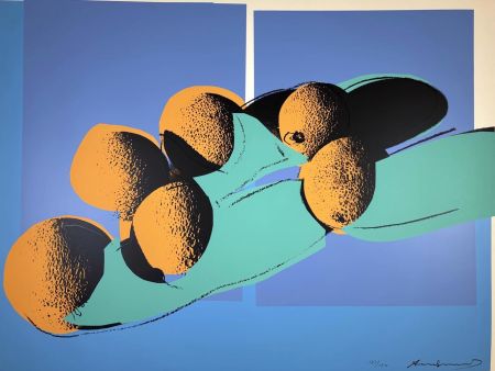 シルクスクリーン Warhol - Space Fruits: Cantaloupes I, II.201 from the Space Fruits: Still Lifes portfolio