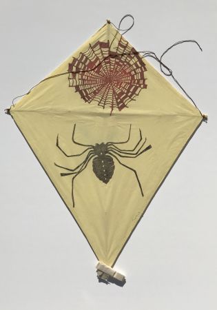 技術的なありません Toledo - Spider and Web Kite