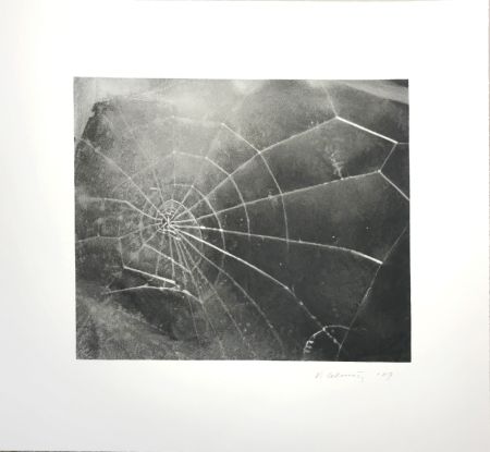 シルクスクリーン Celmins - Spider Web 