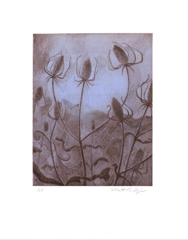 彫版 Bollinger - Spider's Teasel