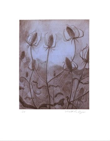 彫版 Bollinger - Spider's Teasel