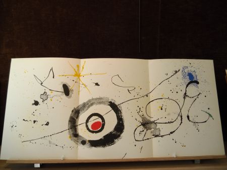 挿絵入り本 Miró - Terres de grand feu