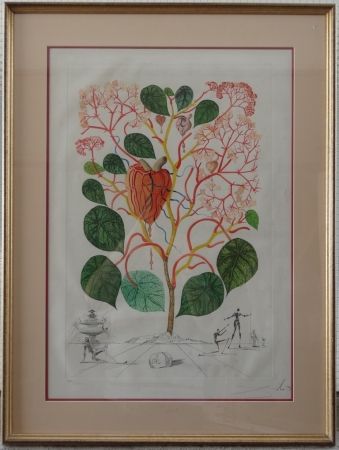 彫版 Dali - The Begonia - Anarcadium recordans