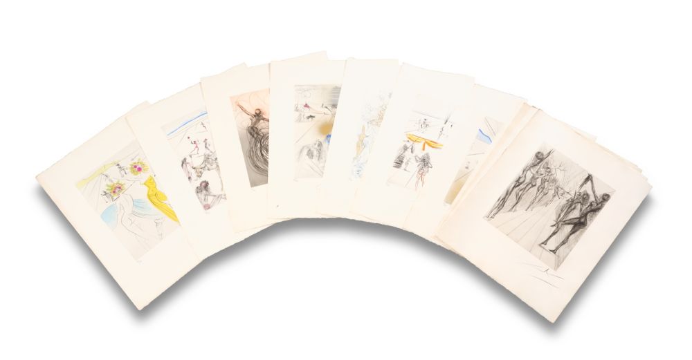 ポイントーセッシュ Dali - The Hippies