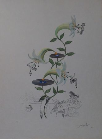 彫版 Dali - The Lily - Lilium Musicum