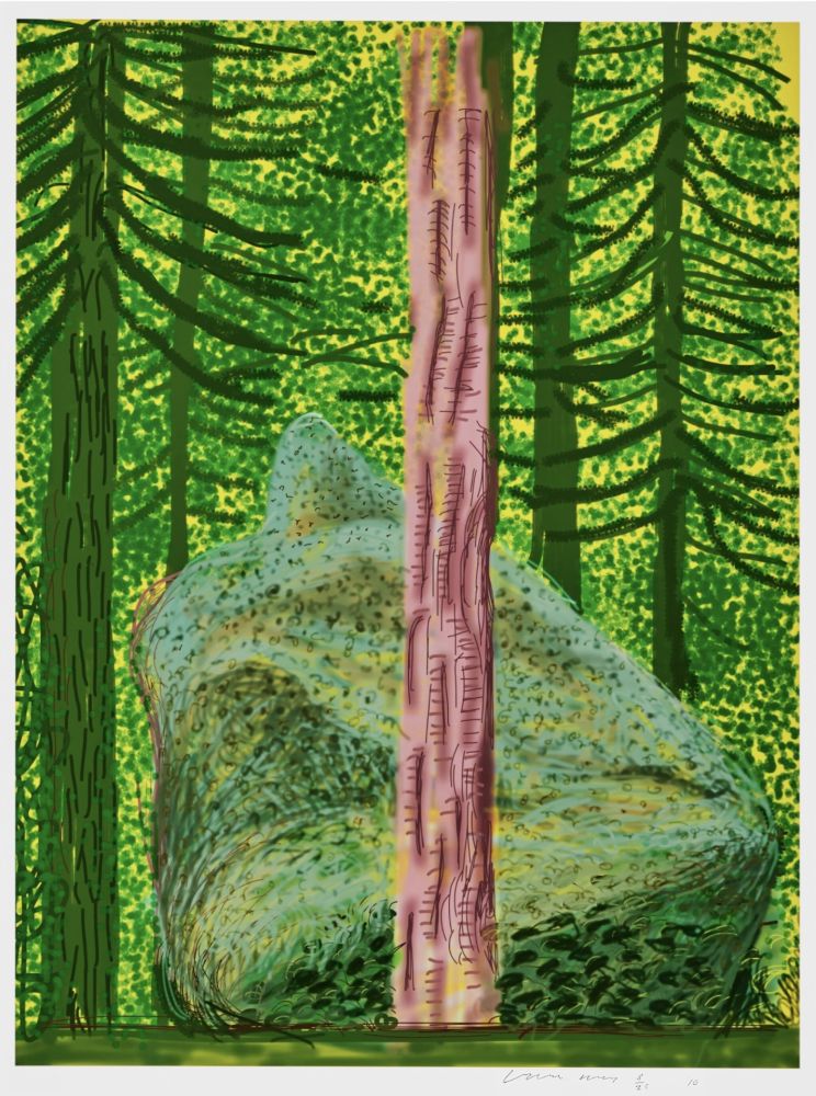 技術的なありません Hockney - The Yosemite Suite No. 19 is a iPad drawing printed in colour by David Hockney