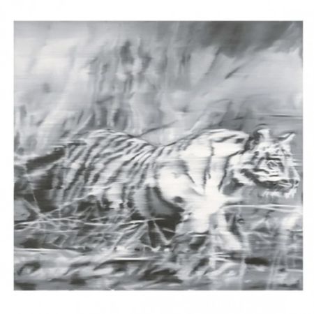オフセット Richter - Tiger