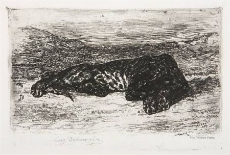 彫版 Delacroix - Tigre couché dans le désert