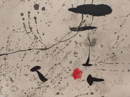 挿絵入り本 Miró - Trace Sur l'eau