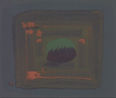 多数の Hodgkin - Tropical Fruit