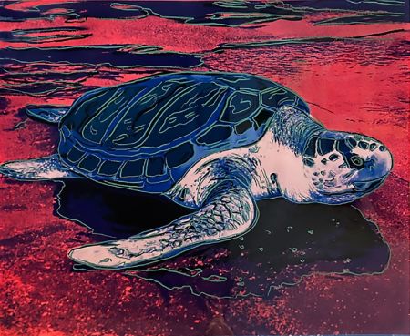 シルクスクリーン Warhol (After) - Turtle