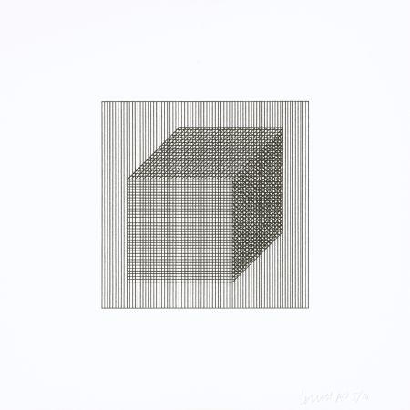 シルクスクリーン Lewitt - Twelve Forms Derived From a Cube 02