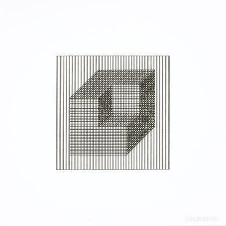 シルクスクリーン Lewitt - Twelve Forms Derived From a Cube 16