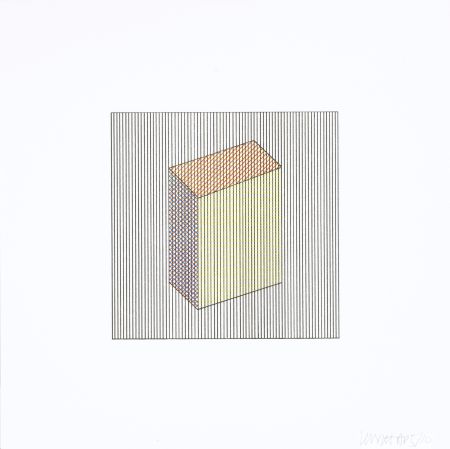 シルクスクリーン Lewitt - Twelve Forms Derived From a Cube 17