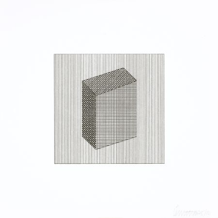 シルクスクリーン Lewitt - Twelve Forms Derived From a Cube 18