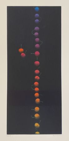 メゾチント彫法 Hamaguchi - Twenty-Two Cherries (multicolor)
