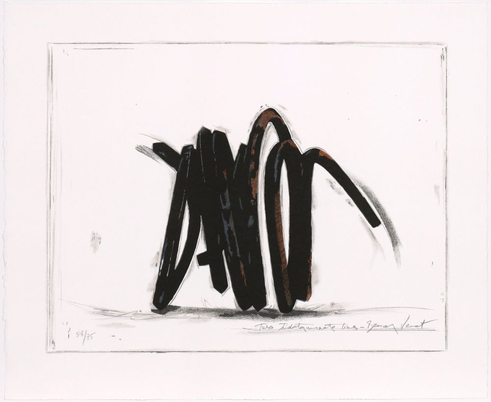 シルクスクリーン Venet - Two indeterminate lines