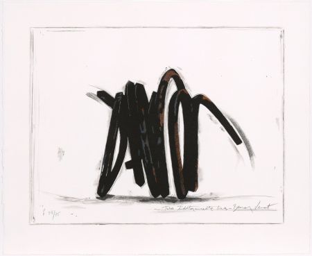 シルクスクリーン Venet - Two indeterminate lines