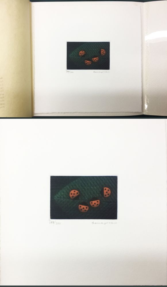 メゾチント彫法 Hamaguchi - Two Pairs (Ladybirds). signed. with the original book (1976)