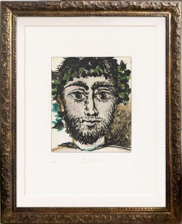 アクチアント Picasso - Tête de faune (after)