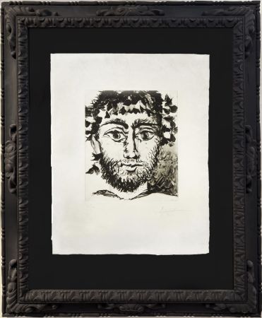アクチアント Picasso - Tête de faune (after)
