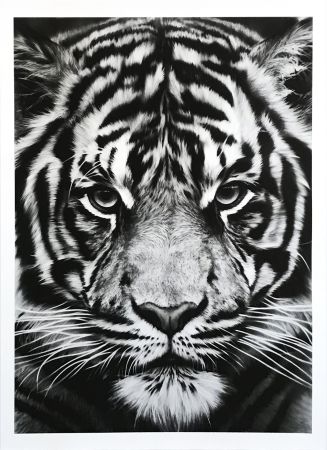 技術的なありません Longo - Untitled (Tiger)