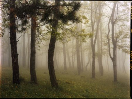 写真 Sitchinava - Upslope Fog in May 3