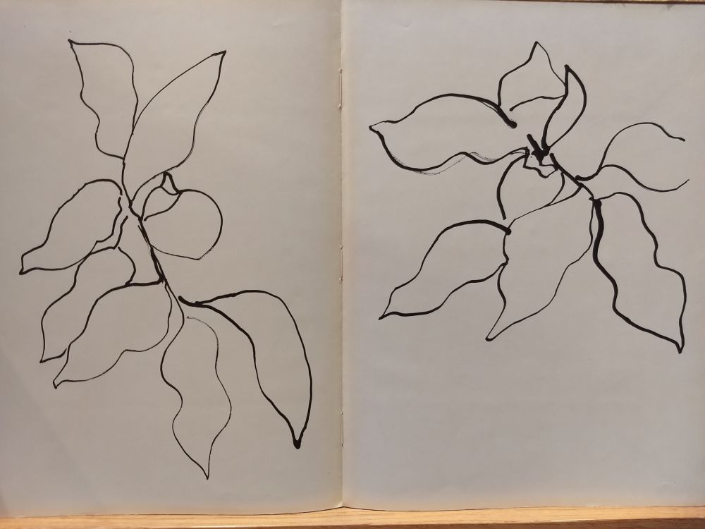 挿絵入り本 Matisse - Vence