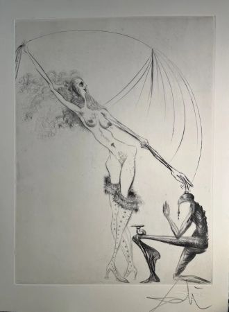 ポイントーセッシュ Dali - Venus a la fourrure