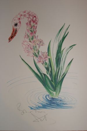 リトグラフ Dali - Water-Hybiscus Swan (surrealistic flowers)