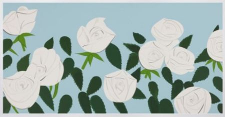 多数の Katz - White Roses