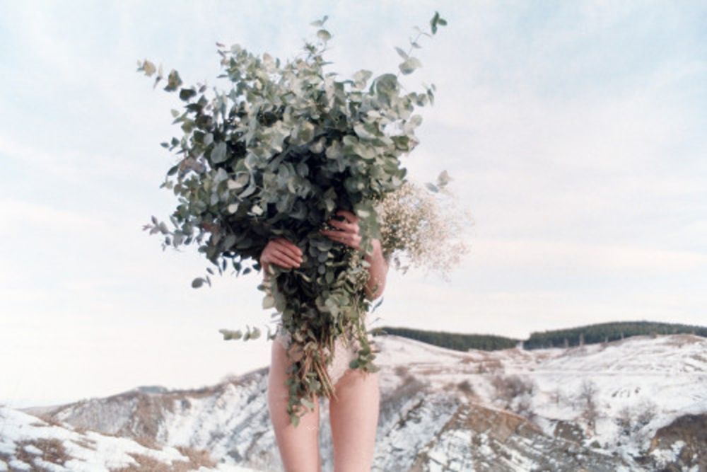 写真 Sitchinava - Winter Bouquet