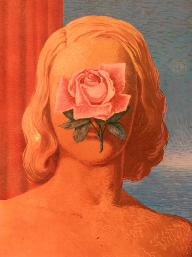 挿絵入り本 Magritte - XXE No 25