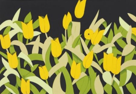 多数の Katz - Yellow Tulips