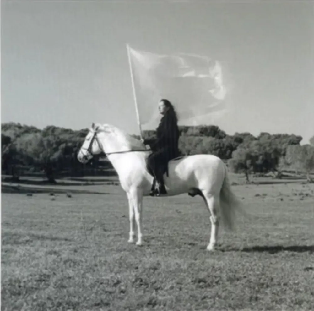 写真 Abramovic - The Hero