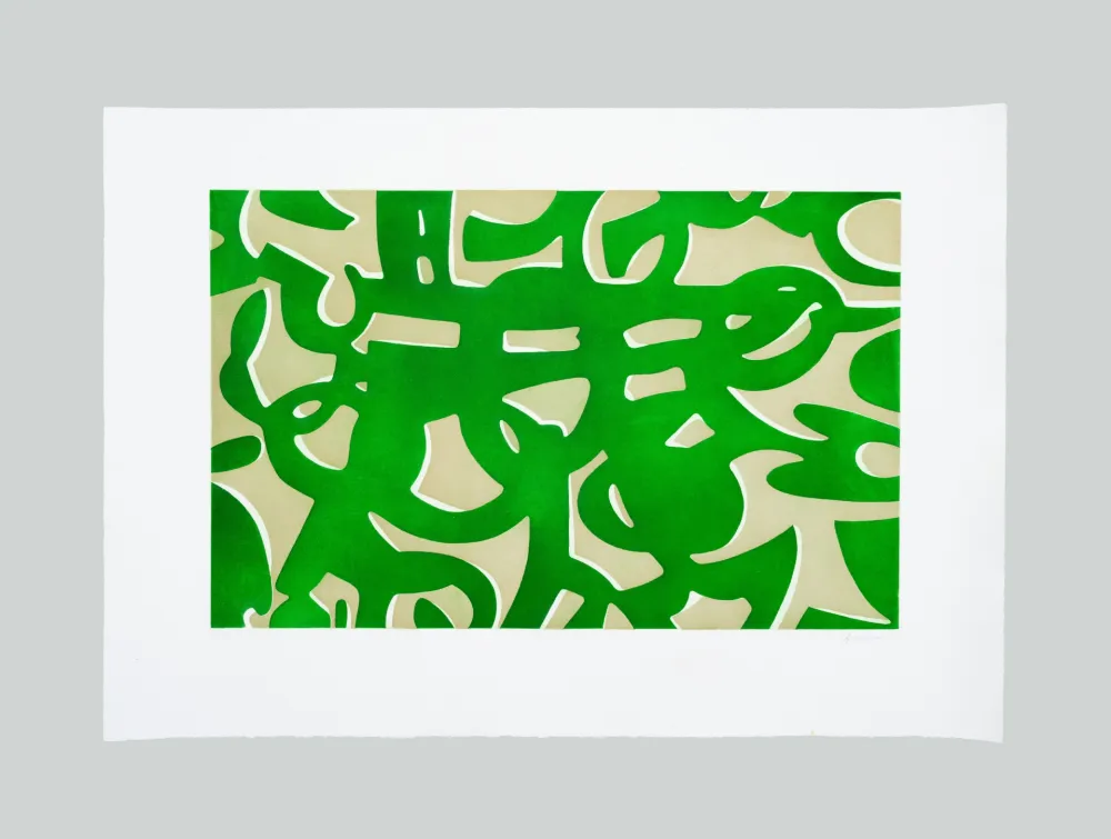 エッチングと　アクチアント Accardi - La ricerca del colore (D)