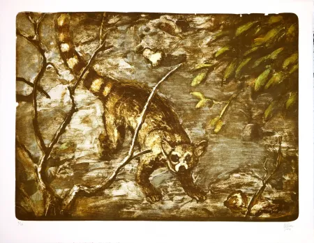 リトグラフ Aceves Humana - Cacomitle